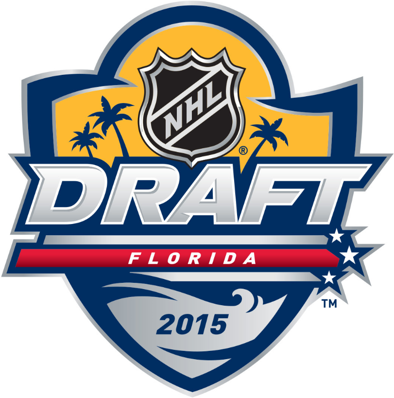 NHL Draft 2015 Primary Logo iron on transfers for T-shirts
